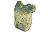 Free-Standing, Gary Green Jasper (Larsonite) Bog Wood - Oregon #334752-2